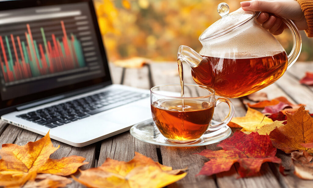 Fall Marketing Campaign Laptop Analytics